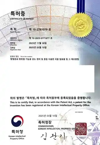 곡물 발효물 (항염·항위염)