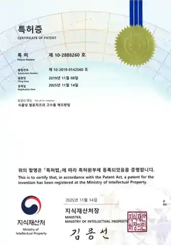 식물성 발효물